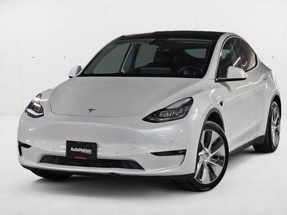 TESLA MODEL Y 2021 5YJYGDEE2MF259137 image
